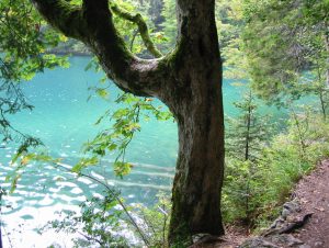 Mehr über den Artikel erfahren Wenn die Spannung steigt: Wie innere Anspannung unsere Gedankenwelt beeinflusst