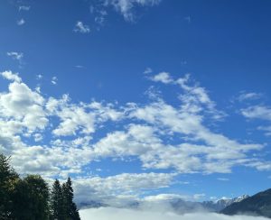 Mehr über den Artikel erfahren Der Zusammenhang zwischen Ängsten, Depressionen, Zwängen und Stress aus psychologischer Sicht