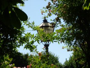 Mehr über den Artikel erfahren Liebe und Eifersucht: Zwischen Nähe, Angst und Vertrauen