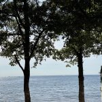 Achtsames Essen – Die Rückkehr zur inneren Verbindung