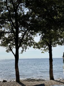 Mehr über den Artikel erfahren Gezügeltes Essverhalten und der Zwang zur Kompensation – eine psychologische Betrachtung