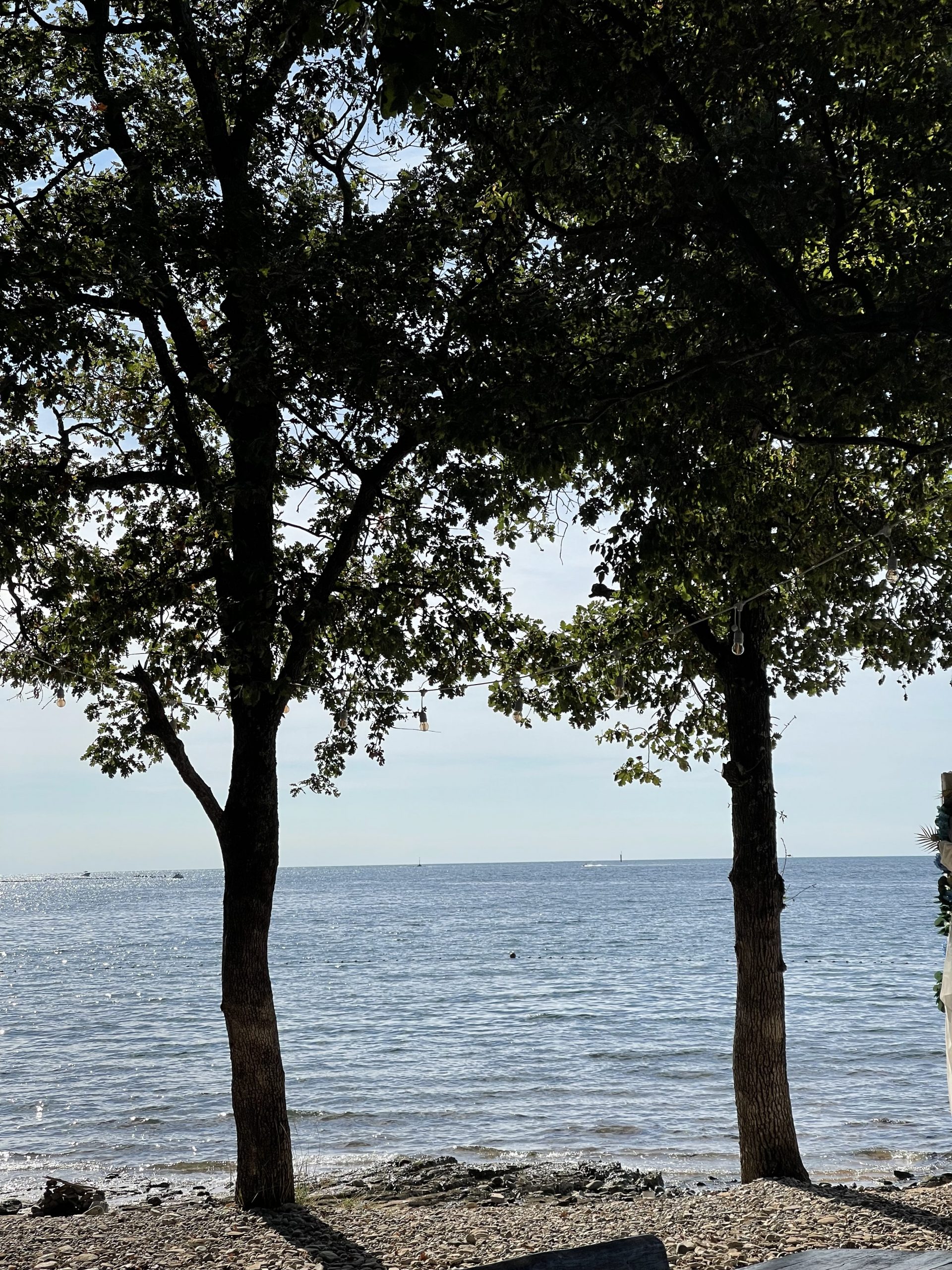 Mehr über den Artikel erfahren Achtsames Essen – Die Rückkehr zur inneren Verbindung