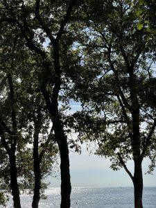 Mehr über den Artikel erfahren Zwänge, innere Anspannung und der Umgang mit Unsicherheit – ein psychologischer Blick