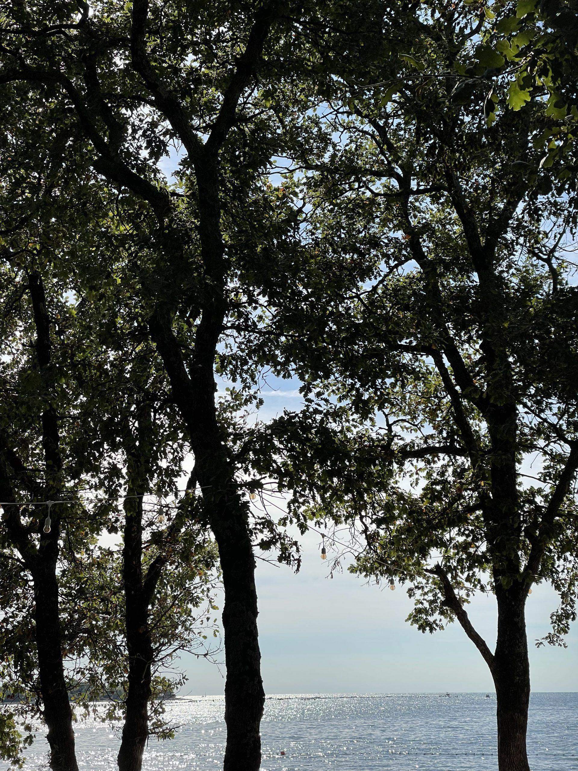 Mehr über den Artikel erfahren Zwänge, innere Anspannung und der Umgang mit Unsicherheit – ein psychologischer Blick