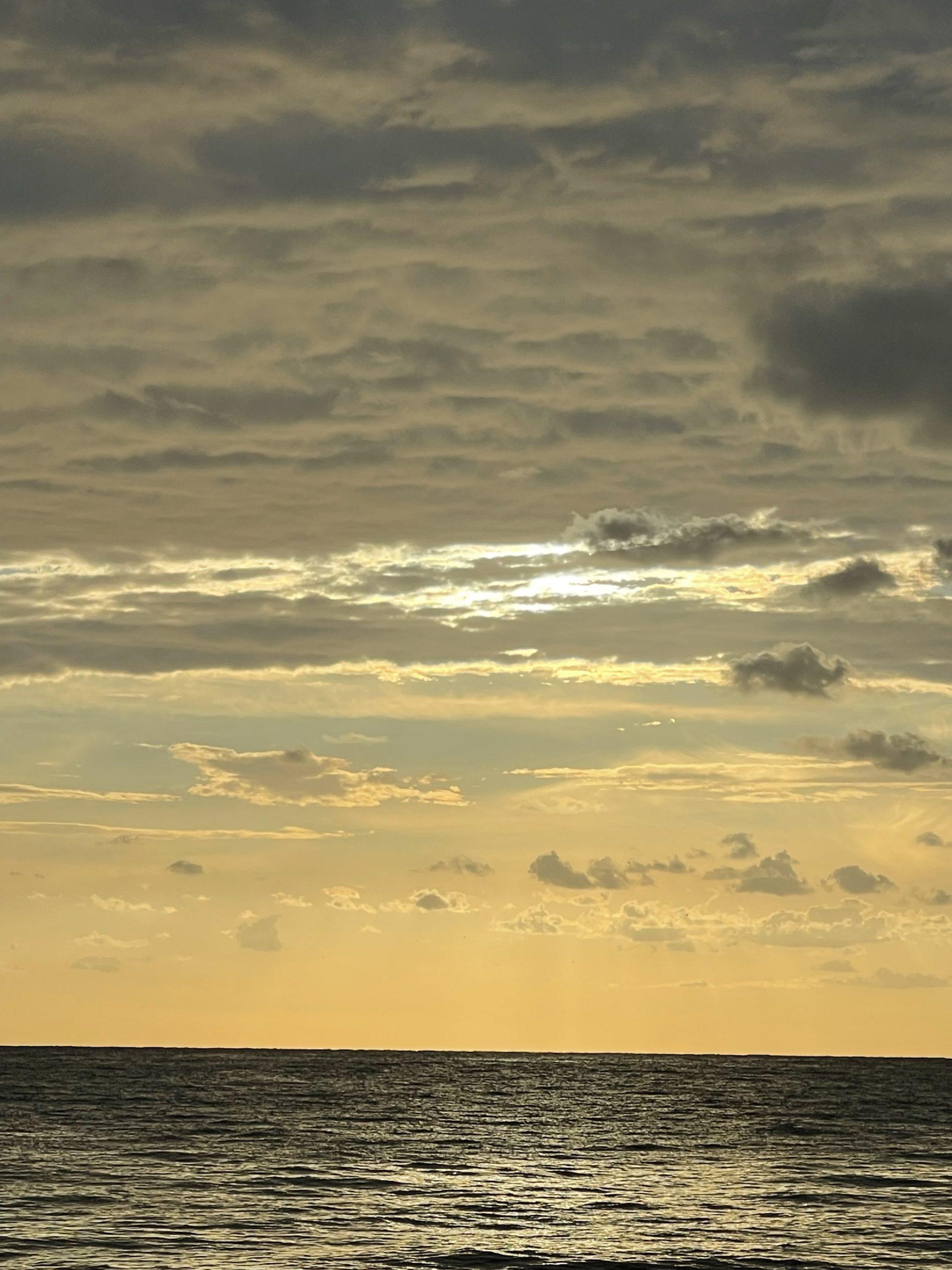 Mehr über den Artikel erfahren Wenn die Angst übernimmt – Ein psychologischer Blick auf Ängste und Panikattacken