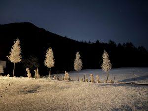 Mehr über den Artikel erfahren Wenn alles zu viel wird – digitale Überreizung aus psychologischer Sicht