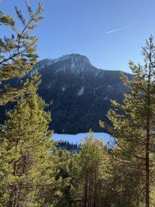 Mehr über den Artikel erfahren Sehnsüchte verstehen